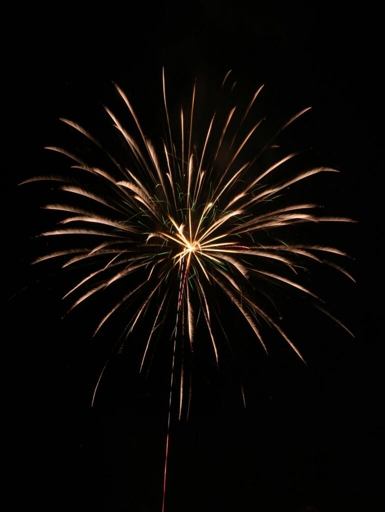 Colorful fireworks display illuminating the dark sky, symbolizing celebration and joy.